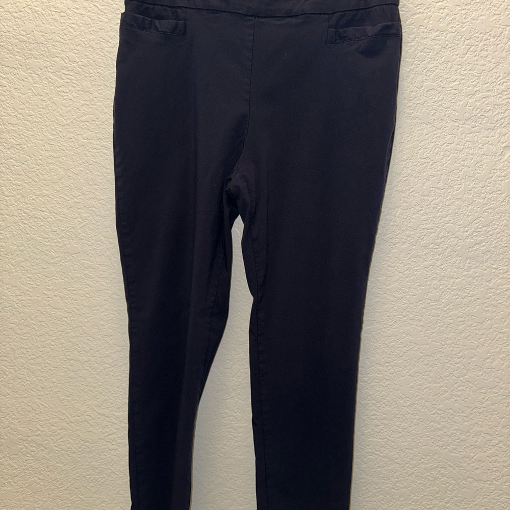 Briggs New York Navy Blue Pull-On Trousers